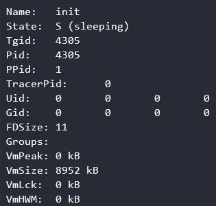 proc file process example